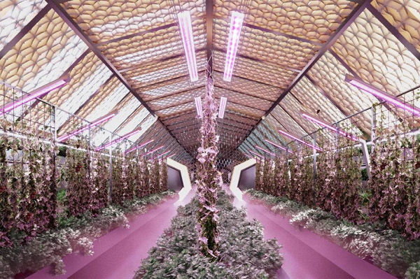 Hình ảnh thiết kế trên máy tính cho thấy các "Green-Domes" đóng vai trò như công viên xanh cho cư dân và là nơi các nhà nghiên cứu trồng các thảm thực vật thử nghiệm.