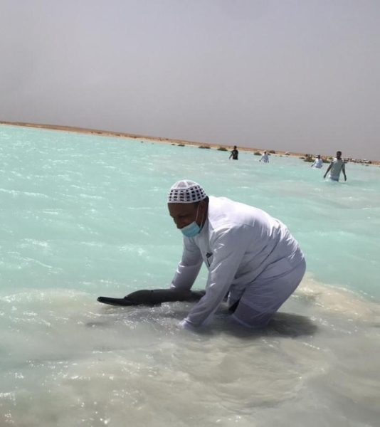 Cá heo là loài động vật thông minh và có tính xã hội cao. Mặc dù chúng có thị giác kém và phụ thuộc vào âm thanh để xác định phương hướng nhưng chúng có cơ bắp mạnh mẽ và linh hoạt giúp bơi được quãng đường dài.