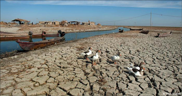 Biến đổi khí hậu đang làm thay đổi các hình thái mưa, giảm lượng nước sẵn có và làm trầm trọng hơn thiệt hại do lũ lụt và hạn hán trên toàn thế giới.