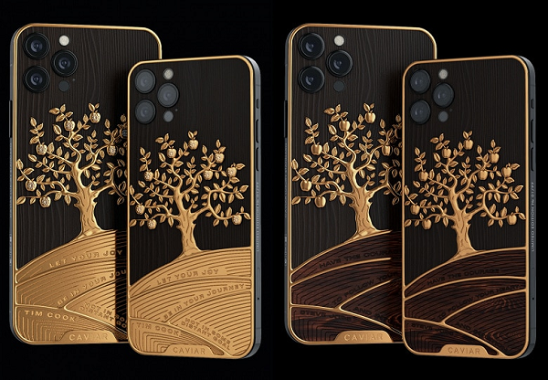 Người mua có thể lựa chọn "ruột" là iPad Pro 11 2020 hoặc iPad pro 12.9 2020.