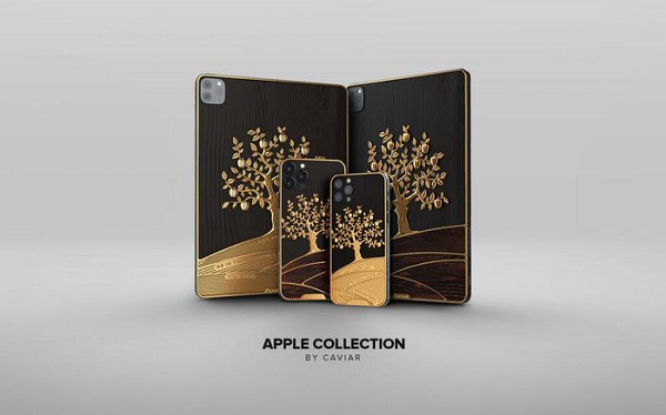 Phiên bản này được đặt tên là iPad Pro Grand Apple, tổng khối lượng vàng được phủ lên toàn bộ máy lên đến 1kg vàng 18 karat.