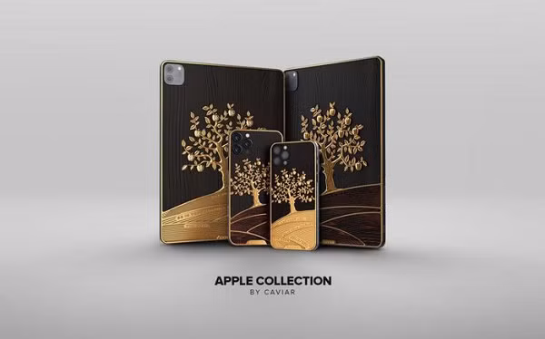 Phiên bản này được đặt tên là iPad Pro Grand Apple, tổng khối lượng vàng được phủ lên toàn bộ máy lên đến 1kg vàng 18 karat.