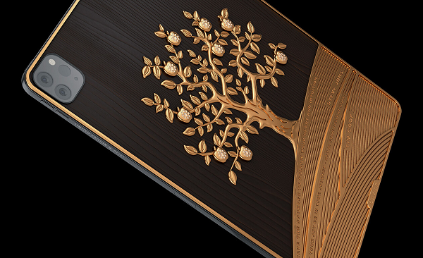 Điều đặc biệt của phiên bản này là logo "quả táo" của iPad Pro được thay bằng cả một cây táo mọc lên từ vùng đất trí tuệ của Tim Cook và Steve Jobs.