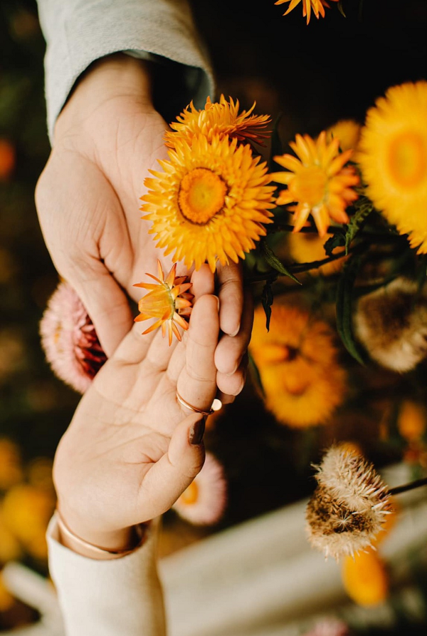 Tại Việt Nam, loài hoa này phù hợp với khí hậu Đà Lạt và các tỉnh miền núi phía Bắc.