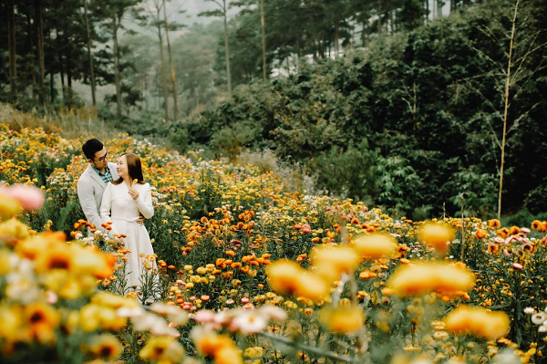 Hoa bất tử sẽ nở rộ và tàn phai dần trong 2 tháng tới. Vì thế, bạn nên tranh thủ check-in sớm để có thể thưởng hoa, thu về những tấm ảnh sống ảo rực rỡ nhất.