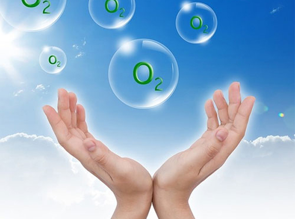 Thậm chí việc không có oxy còn khiến bầu trời trở nên tối đen như mực. Trong khi tất cả những điều trên xảy ra, lớp vỏ trái đất cũng hoàn toàn vỡ vụn. Bởi lớp vỏ trái đất được tạo thành từ 45% oxy. Chính vì vậy mà lớp vỏ này sẽ tiếp tục vỡ cho tới khi không còn gì.