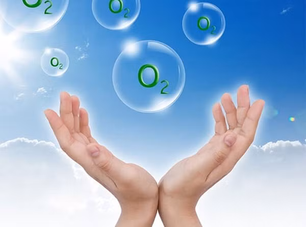 Thậm chí việc không có oxy còn khiến bầu trời trở nên tối đen như mực. Trong khi tất cả những điều trên xảy ra, lớp vỏ trái đất cũng hoàn toàn vỡ vụn. Bởi lớp vỏ trái đất được tạo thành từ 45% oxy. Chính vì vậy mà lớp vỏ này sẽ tiếp tục vỡ cho tới khi không còn gì.