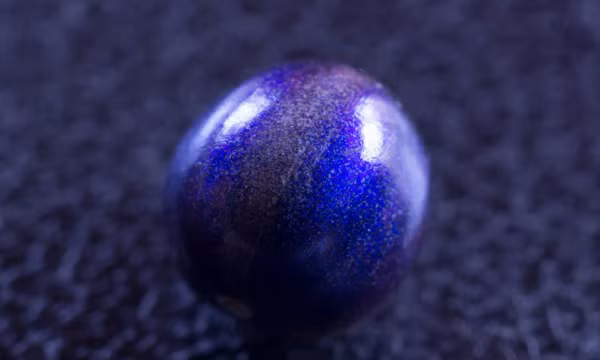 Những quả thu được từ hơn một thế kỷ trước vẫn sáng bóng như quả tươi. Dù không có thịt vì chỉ là hạt, nhưng quả Pollia luôn rất hấp dẫn với các loài chim xung quanh.