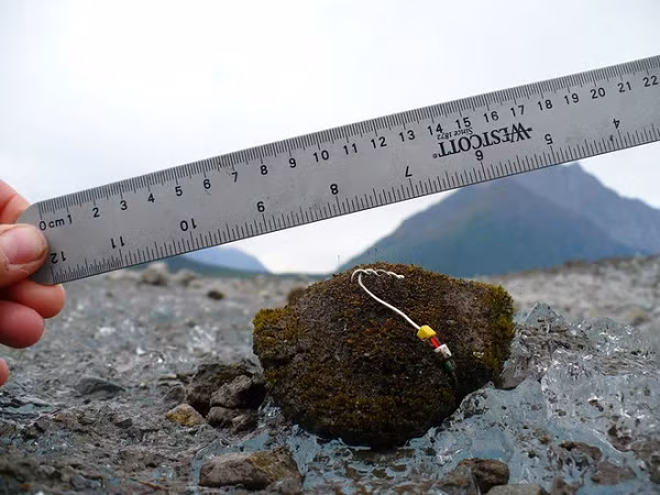 Khối cầu rêu hình thành từ những hòn đá nhỏ hoặc bụi bẩn trong băng, dần tích tụ thêm các loại rêu và trầm tích.