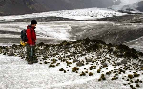 Những quả bóng rêu sông băng thường được gọi là “chuột sông băng”. Mỗi quả bóng giống như một chiếc gối mềm mại. Các tác giả nghiên cứu tin rằng chúng phát triển từ các tạp chất trên bề mặt băng và đại diện cho một hiện tượng tương đối hiếm.