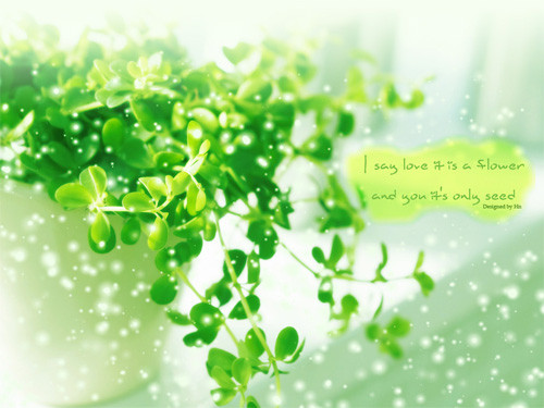 Bên cạnh đó, sức khỏe của những người sinh vào tháng 4 cũng rất tốt, vận khí cũng tốt, cả đời thuận lợi, không gặp phiền não. 