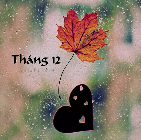 Tháng 12 âm lịch: Những người sinh vào tháng Chạp thường gặp nhiều may mắn do được Bồ Tát bảo hộ, rất hiếm khi gặp chuyện không như ý, sức khỏe ổn định, ít khi bị bệnh.