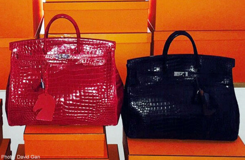 Sở thích sưu tập túi này đã theo David Gan từ khi anh mới bước vào nghề làm tóc và chiếc túi đầu tiên anh mua là của Louis Vuitton với giá 500 USD (hơn 10 triệu đồng). Mặc dù sở hữu rất nhiều túi xách đắt tiền nhưng Gan khẳng định rằng mình nhớ chi tiết của từng chiếc một.