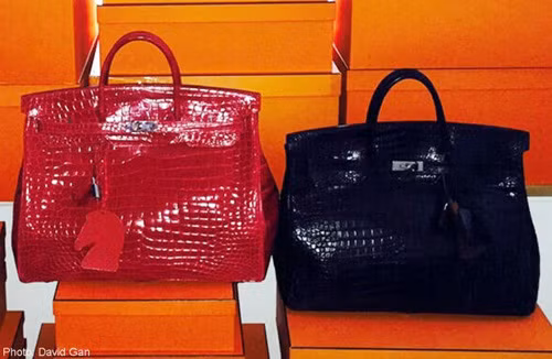 Sở thích sưu tập túi này đã theo David Gan từ khi anh mới bước vào nghề làm tóc và chiếc túi đầu tiên anh mua là của Louis Vuitton với giá 500 USD (hơn 10 triệu đồng). Mặc dù sở hữu rất nhiều túi xách đắt tiền nhưng Gan khẳng định rằng mình nhớ chi tiết của từng chiếc một.