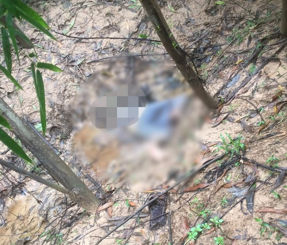  Thi thể người đàn ông đang phân hủy trong rừng tràm: Khoảng 10h ngày 28/11, một số người dân vào khu vực rừng tràm (thuộc khu phố 3, phường 4, TP Đông Hà, tỉnh Quảng Trị) lấy nấm thì phát hiện một thi thể đang trong tình trạng phân hủy. Bước đầu xác định, thi thể là nam giới khoảng 40 tuổi, nằm sấp dưới một mương nước, vị trí phát hiện nằm sâu trong rừng trồng tràm, trên người mặc quần thể thao xanh, áo sọc, ở cánh tay phải có nẹp vít. 