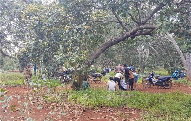  6. Mâu thuẫn trong lúc nhậu, nam công nhân đâm đồng nghiệp tử vong: Chiều 20/11, trong lúc nhậu tại ngôi nhà trong vườn điều tại huyện Đồng Phú, Bình Dương giữa Nguyễn Văn Trọng và Lưu Văn Quân (23 tuổi, ngụ tỉnh Bình Dương) xảy ra mâu thuẫn, dẫn tới đánh nhau. Trong lúc giằng co, Trọng bất ngờ rút dao đâm liên tiếp vào bụng và ngực Quân khiến anh này đổ gục xuống sàn nhà, tử vong tại chỗ. Gây án xong, Trọng bỏ trốn. Hôm nay, Công an tỉnh Bình Dương cho biết đã bắt giữ được đối tượng này.