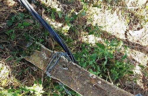 Nam tay ra dong, 2 vo chong bi dien giat tu vong-Hinh-2