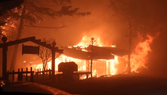 Tháng 4/2019, một trận cháy rừng dữ dội xảy ra ở thị trấn Goseong, tỉnh Gangwon, Hàn Quốc. Chính phủ Hàn Quốc ban bố tình trạng thảm họa quốc gia đối với vụ cháy rừng này.