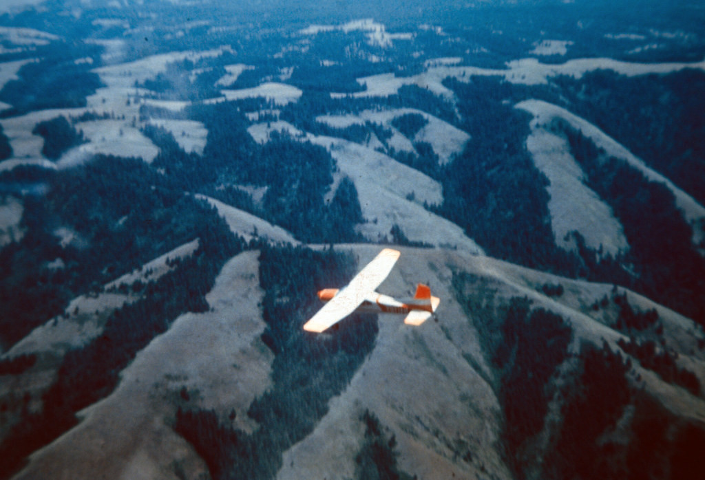 Kellner kể rằng bản thân từng lái một máy bay Cessna số hiệu 421 bay từ Sardinia đến Sicily. Khi đang trong chuyến hành trình, máy bay gặp sự cố động cơ buộc ông phải hạ cánh xuống biển. May mắn là sau đó ông được giải cứu kịp thời.