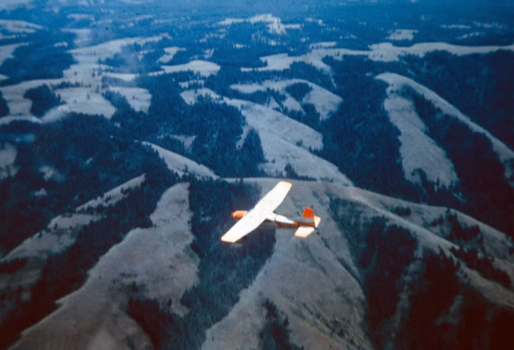 Kellner kể rằng bản thân từng lái một máy bay Cessna số hiệu 421 bay từ Sardinia đến Sicily. Khi đang trong chuyến hành trình, máy bay gặp sự cố động cơ buộc ông phải hạ cánh xuống biển. May mắn là sau đó ông được giải cứu kịp thời.