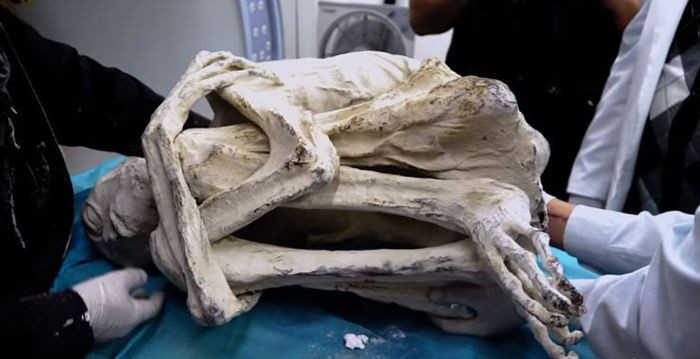 Tuy nhiên, một giả thuyết cho rằng, xác ướp Maria có thể là loài lai giữa một chủng tộc người và người ngoài hành tinh.