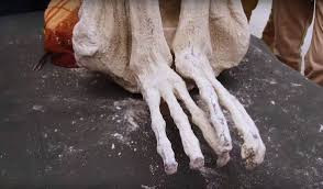 Quan điểm này nhanh chóng gây xôn xao dư luận, đặc biệt là những người tin vào sự tồn tại của người ngoài hành tinh. Thế nhưng, không có bằng chứng cụ thể nào được đưa ra giúp chứng minh đây là sự thật.