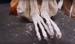 Quan điểm này nhanh chóng gây xôn xao dư luận, đặc biệt là những người tin vào sự tồn tại của người ngoài hành tinh. Thế nhưng, không có bằng chứng cụ thể nào được đưa ra giúp chứng minh đây là sự thật.