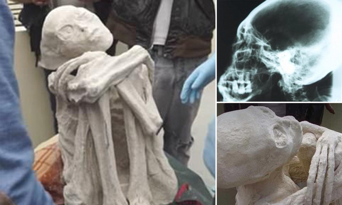 Từ đây, giới chuyên gia suy đoán có thể xác ướp Maria thuộc một loài mới mà con người chưa biết đến.