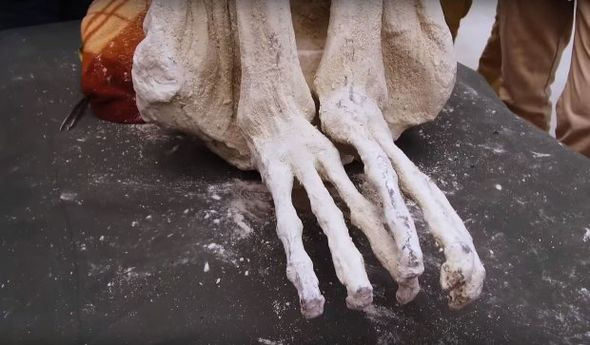 Các chuyên gia đặt tên cho xác ướp là Maria. Với đặc điểm khác thường như vậy, giới khoa học cũng như công chúng tò mò liệu đây có thực sự là thi hài của con người hay của người ngoài hành tinh.