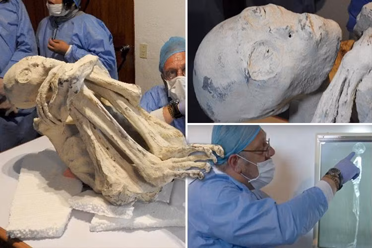 Do vậy, các chuyên gia tiếp tục nghiên cứu xác ướp Maria để sớm có thể giải mã bí ẩn về thi hài đặc biệt này.