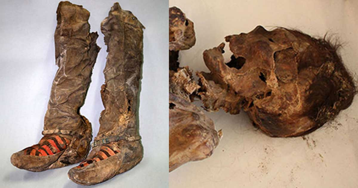 Trước khi chết, người phụ nữ bị tổn thương vùng đầu sau khi bị tấn công nghiêm trọng.