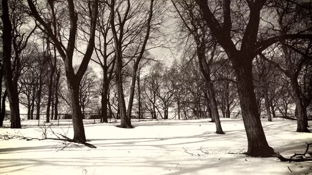 Cuối cùng, nhóm tội phạm quyết định chờ khi Malloy say thì khiêng ra công viên. Chúng đổ nước lạnh lên người Malloy rồi bỏ lại giữa thời tiết lạnh giá với hy vọng lần này gã say rượu sẽ chết. Nhóm của Marino không thể ngờ rằng, Malloy xuất hiện ở quán rượu vào hôm sau như không có chuyện gì.