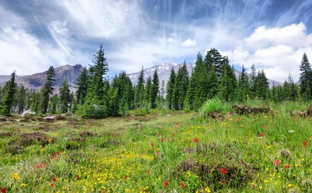 Kế đến, người đàn ông như bị thôi miên và đi theo tiếng nói bí ẩn vào sâu trong núi. Tại một hang động, người này nhìn thấy người phụ nữ mặc trang phục kỳ lạ và có đôi mắt xanh.