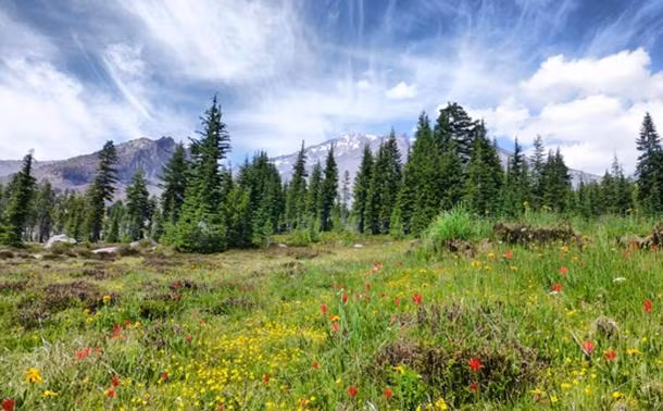 Kế đến, người đàn ông như bị thôi miên và đi theo tiếng nói bí ẩn vào sâu trong núi. Tại một hang động, người này nhìn thấy người phụ nữ mặc trang phục kỳ lạ và có đôi mắt xanh.