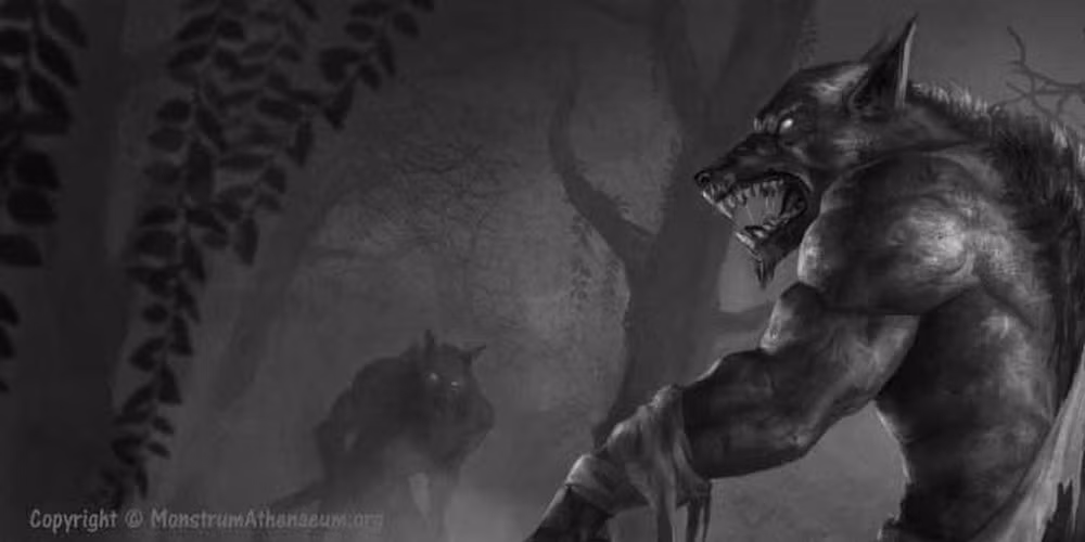 Đôi lúc, người sói tấn công gia súc của người dân địa phương. Chính vì vậy, nhiều thợ săn trong vùng đặt bẫy nhằm bắt được người sói.