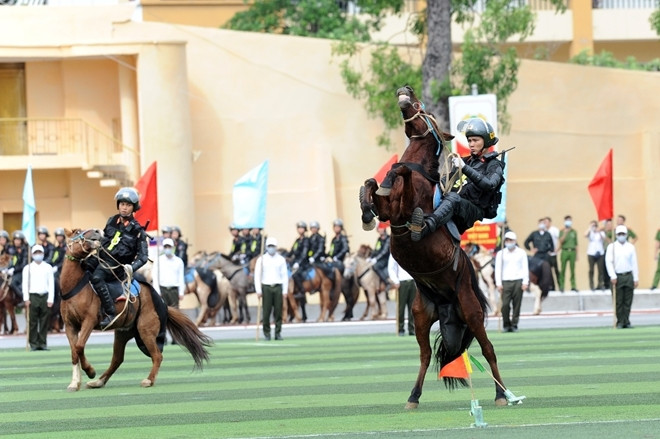 Đoàn CSCĐ Kỵ binh trong tương lai sẽ phục vụ vào các hoạt động diễu binh diễu hành, tuần tra kiểm soát, thực hiện nhiệm vụ giải tán đám đông, truy bắt tội phạm mà các phương tiện khác không thể đi tới được, nhất là ở vùng sâu, vùng xa, khu vực miền núi, đòi hỏi việc băng rừng, đi công tác nhiều ngày...