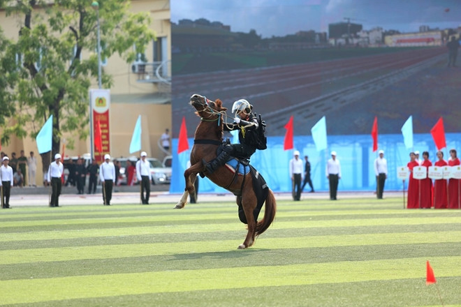 Đây là loại ngựa vốn có gốc gác từ những chiến mã từng gắn liền với các kỵ binh khét tiếng của Mông Cổ ở thế kỷ 13.