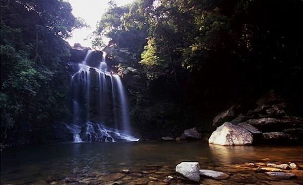 Không chỉ Bride's Pool, "linh hồn" cô dâu tử vong trong ngày cưới còn được cho là gây ra một số tai nạn chết người tại một cung đường gần đó. Vì vậy, nhiều người tin rằng giai thoại về "lời nguyền cô dâu" là có thật. Tuy nhiên, cho tới nay, không một giải mã mang tính khoa học nào được đưa ra để chứng minh tính chân thực của câu chuyện này. Mọi thứ vẫn chỉ là lời đồn đại không kiểm chứng. Mời độc giả xem video: Vẻ đẹp thác Bản Giốc mùa lúa chín. Nguồn: VTC14.
