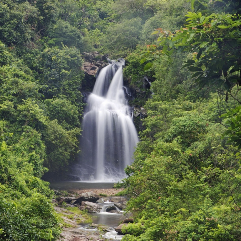 Theo đó, toàn bộ người khiêng kiệu và cô dâu rơi xuống nước. Mọi người đều may mắn sống sót trừ cô dâu.