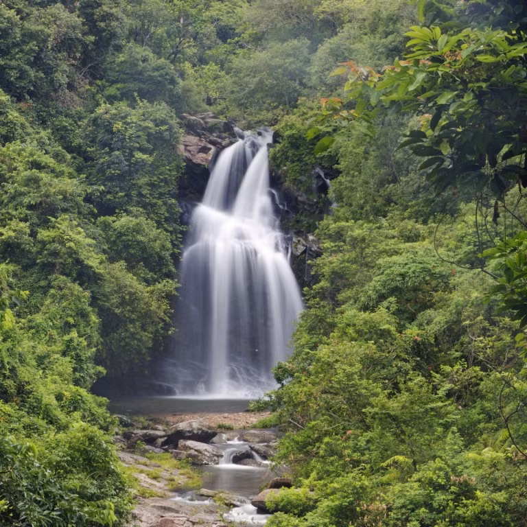 Theo đó, toàn bộ người khiêng kiệu và cô dâu rơi xuống nước. Mọi người đều may mắn sống sót trừ cô dâu.