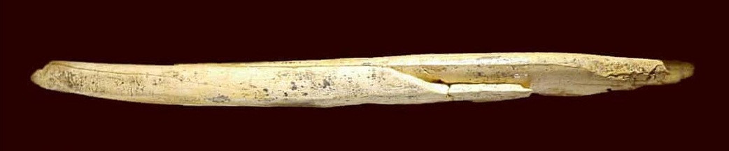 Sau khi phát hiện, một số chuyên gia cho rằng công cụ làm từ ngà voi ma mút này có thể là một nhạc cụ hay vật dụng mang ý nghĩa tôn giáo.