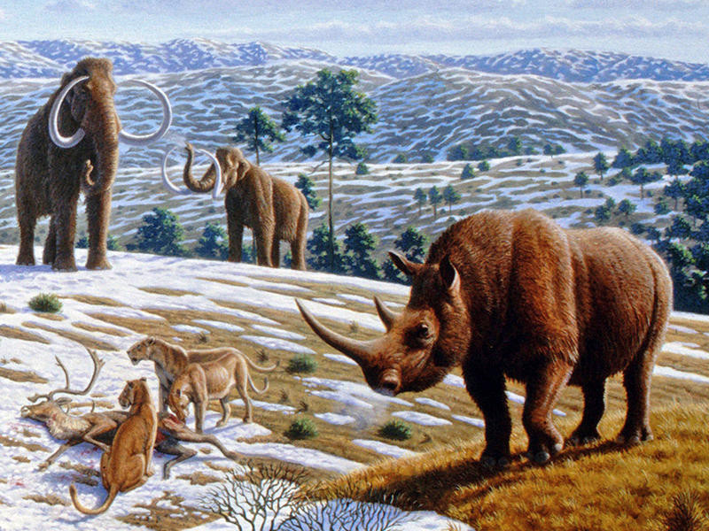 Thêm nữa, dây thừng cũng giúp người xưa kéo những vật nặng như xe trượt hoặc buộc mũi giáo nhọn vào cán.