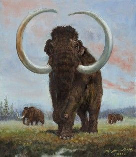 Chuyên gia Veerle Rots về vật liệu thời Đồ Đá cũ tại Đại học Liege cho hay cổ vật trên là công cụ dùng để chế tạo dây thừng thời Đồ Đá cũ.