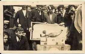 Thay vào đó, Barnum mua tiên cá Fiji từ một người nào đó. Thêm nữa, đây không phải là nàng tiên cá thật bởi sinh vật bí ẩn mà Barnum trưng bày do ngư dân Nhật Bản tạo ra như một loại hình nghệ thuật vào đầu những năm 1800.