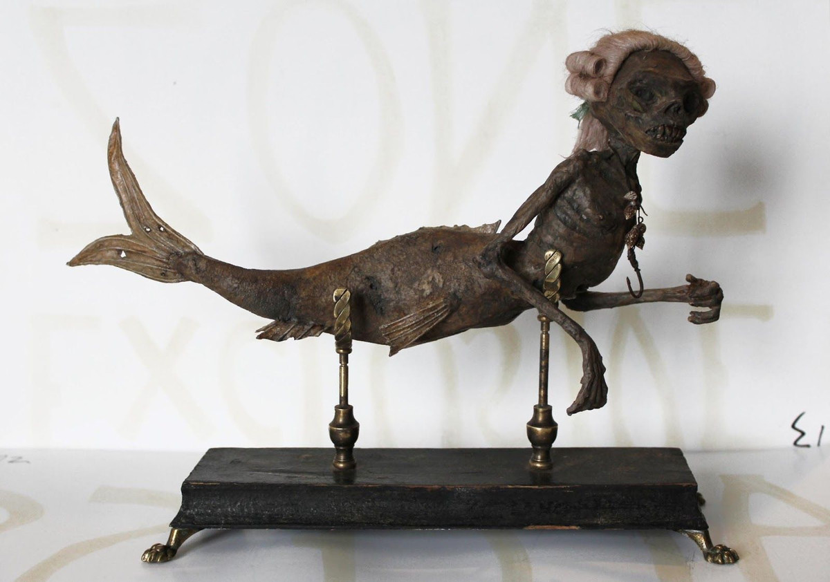 Một số người cho rằng nàng tiên cá Fiji còn đến ngày nay và hiện được trưng bày tại Bảo tàng Khảo cổ học và Dân tộc học Harvard. Thế nhưng, không ai có thể chắc chắn đây thực sự là tiên cá Fiji của Barnum hay không.