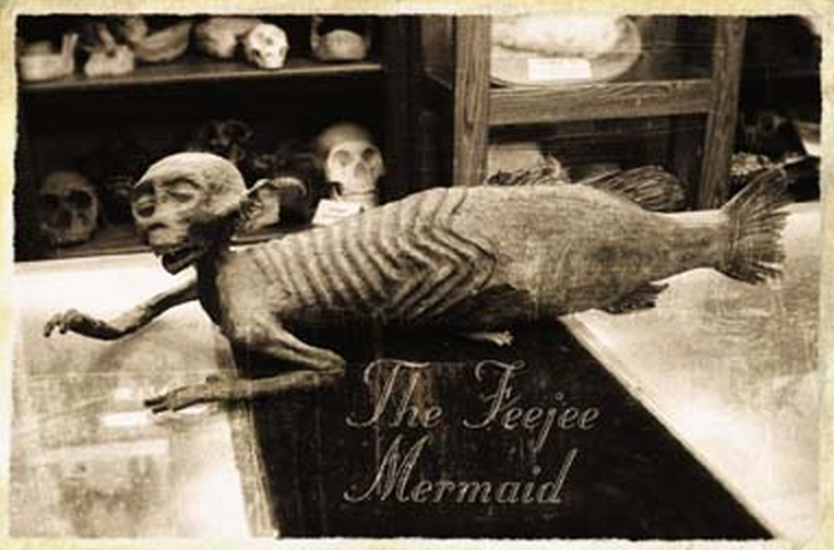 Tiên cá Fiji có nửa thân trên của một con khỉ vị thành niên và nửa thân dưới là của cá.