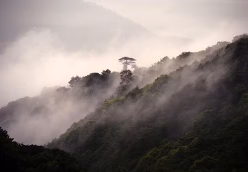 Vi sao lang mo Luu Bi va Ton Quyen khong duoc khai quat?