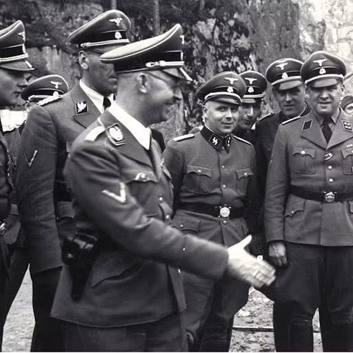 Thế nhưng, đến năm 1942, "Dự án Borghild" bị hủy bỏ vì lính phát xít Đức không muốn mang theo trong lúc hành quân.