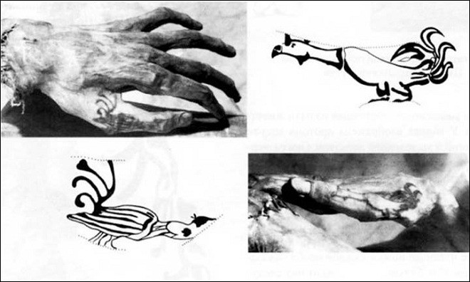 Còn ở bàn tay người phụ nữ, các chuyên gia phát hiện hình xăm con gà. Đến nay, các chuyên gia chưa thể giải mã vì sao người Pazyryk xăm những hình xăm động vật trên lên cơ thể.