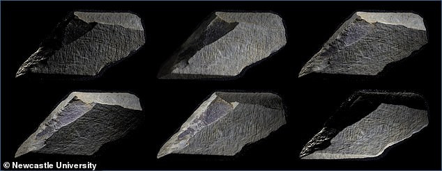 10 tảng đá khoảng 15.000 tuổi này được giới chuyên gia nhận định là những tác phẩm nghệ thuật lâu đời nhất ở Anh trong kỷ băng hà cuối cùng.